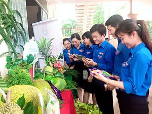 Hỗ trợ thanh niên nông thôn phát triển kinh tế