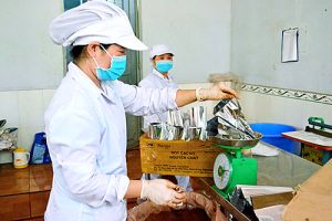 Thúc tiến độ 2 cụm công nghiệp chế biến nông sản