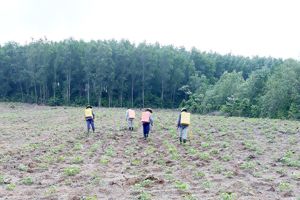 Đồng Nai dồn lực chống dịch