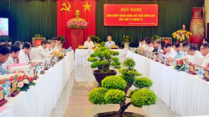 Tập trung thực hiện đồng bộ các giải pháp phát triển