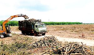 Phải khởi công khu tái định cư Sân bay Long Thành trong năm 2019