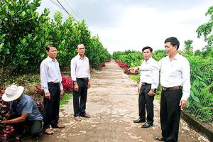 Nhiều mô hình “Dân vận khéo”