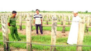 ​Góp phần giữ bình yên cho làng Chăm