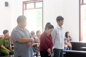 ​Lừa đảo góp vốn đầu tư dự án, các bị cáo lãnh án nặng