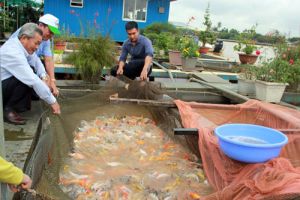 Đồng Nai - tỉnh công nghiệp đi đầu xây dựng nông thôn mới