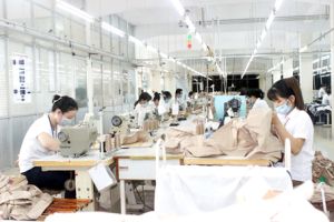 Doanh nghiệp “đua” với các FTA