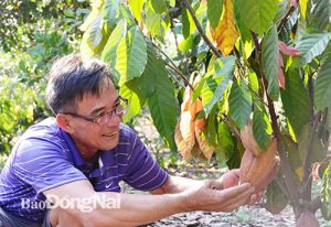 Huyện Trảng Bom:Đầu tư mạnh cho cánh đồng lớn