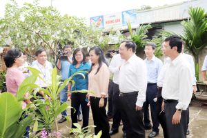​Bộ trưởng Bộ Y tế Nguyễn Thị Kim Tiến: Không được chủ quan với dịch bệnh sốt xuất huyết