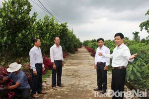 ​Gần dân thì việc gì cũng thành công