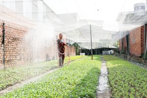 ​Thực hiện lộ trình ngưng chăn nuôi trên địa bàn TP.Biên Hòa: Sắp “cán” đích