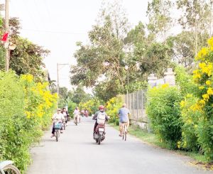 ​Giữ hồn quê cho vùng nông thôn mới