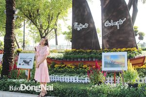Chủ đề đường hoa Nguyễn Văn Trị - Tết Nguyên đán Canh Tý 2020​: “Biên Hòa - Tết an vui - Xuân tài lộc"