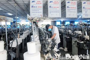 ​Hiệu quả từ mô hình 5S