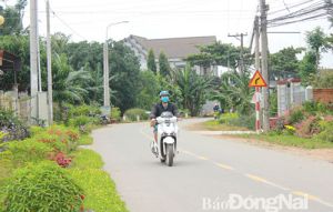 ​Đồng Nai dẫn đầu nông thôn mới nâng cao