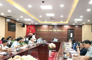 Đồng Nai đã chi 202 tỷ đồng hỗ trợ các hộ có heo bị dịch tả