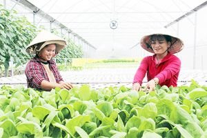 ​Ý Đảng, lòng dân trong xây dựng nông thôn mới
