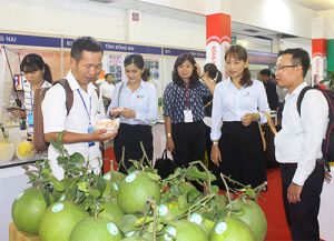 ​15 doanh nghiệp Đồng Nai tham gia hội nghị kết nối cung - cầu tại TP.Hồ Chí Minh