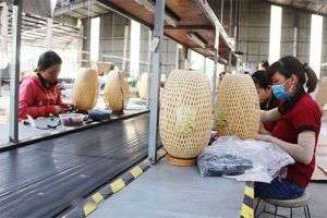 ​Ngành gỗ và chuyện phát triển bền vững