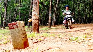 ​Quản lý đất sân bay sau giải phóng mặt bằng