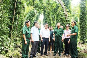 Thi đua cựu chiến binh gương mẫu