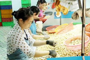 ​​“Mở đường” cho nông sản Đồng Nai