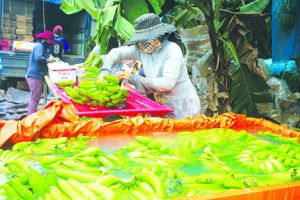 “Bán cho ai, phải hiểu nhu cầu của người đó”