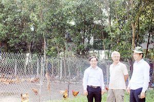 ​Xuân Lộc, Cẩm Mỹ làm tốt công tác phòng chống dịch tả heo châu Phi