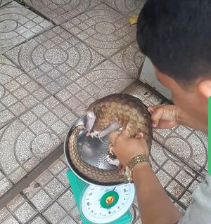 ​ Công an huyện Vĩnh Cửu: Tập trung truy quét, bảo vệ rừng