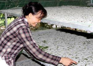 ​Sớm xây khu tái định cư để người dân đến xây nhà