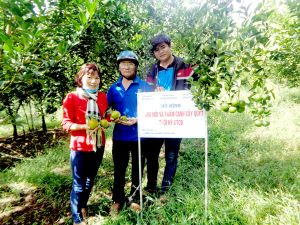 ​Hiệu quả từ đặt hàng nghiên cứu khoa học - công nghệ