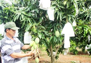 Thay đổi tư duy ngắn hạn