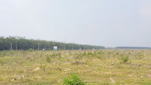 ​Người mang thực phẩm sạch vào trường học