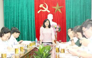 Rà soát công tác chuẩn bị Đại hội đại biểu các dân tộc thiểu số tỉnh