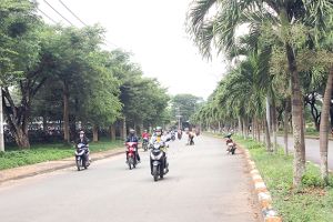 ​Hình thành vùng bưởi da xanh Bình Lợi