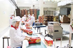 ​Đảng bộ TP.Biên Hòa: Ưu tiên giải quyết những vấn đề cấp bách