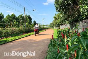 ​Nỗ lực xây dựng nông thôn mới kiểu mẫu