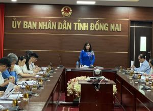 Họp Ban Chỉ đạo phát triển đối tượng tham gia bảo hiểm xã hội, bảo hiểm y tế, bảo hiểm thất nghiệp tỉnh Đồng Nai (BHXH, BHYT, BHTN)