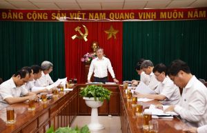 Tính toán phương án khả thi nhất để xây dựng cầu Cát Lái