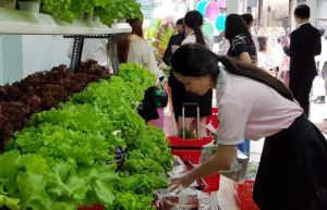 Toàn tỉnh có gần 290 điểm bán thực phẩm an toàn