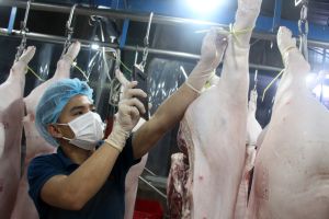 Nâng cao sức cạnh tranh cho sản phẩm chăn nuôi trong tỉnh