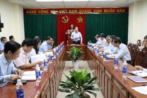 Đồng Nai tiếp tục cổ phần, thoái vốn doanh nghiệp đúng lộ trình