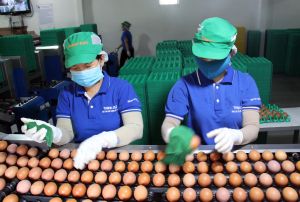 Nâng tầm hàng hóa địa phương
