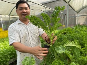 TP.Biên Hòa: Phát triển nông nghiệp đô thị