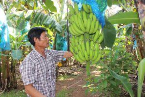 Đồng bào có đạo tích cực tham gia xây dựng nông thôn mới