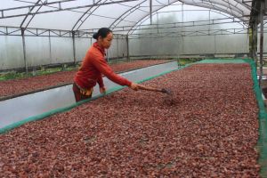 Làm thương hiệu chuyên nghiệp cho sản phẩm OCOP
