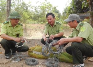 Khởi động thêm cơ chế bảo tồn rừng