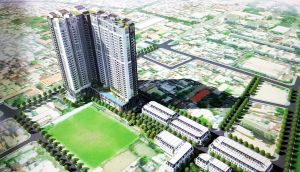 Nghiên cứu quy hoạch khu vực sau đình Tân Lân