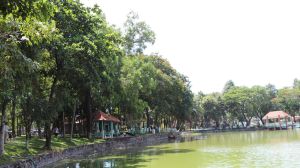 Tăng mảng xanh cho đô thị Biên Hòa