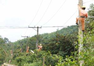 Huyện Định Quán hoàn thiện hệ thống lưới điện nông thôn