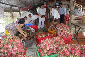 Xuất khẩu rau, trái cây vào thị trường Thái Lan